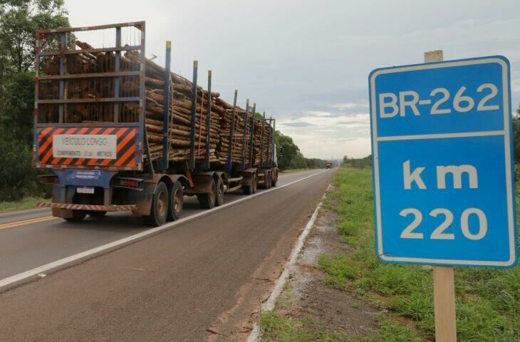 Imagem de compartilhamento para o artigo Celeiro de oportunidades, Mato Grosso do Sul atrai cada vez mais trabalhadores de outras regiões do País da MS Todo dia